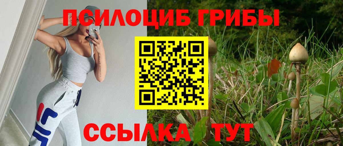Менделеевск  Псилоцибиновые грибы MAGIC MUSHROOMS  Вход с VPN  где купить наркотик  Галлюциногенные грибы Psilocybine cubensis 